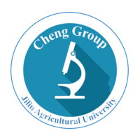 Cheng Group